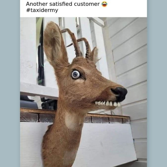 Jewelry and accessories - Picture 12 of 12